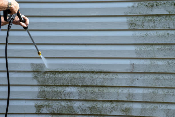 Best Property Management Cleanouts  in Early, TX